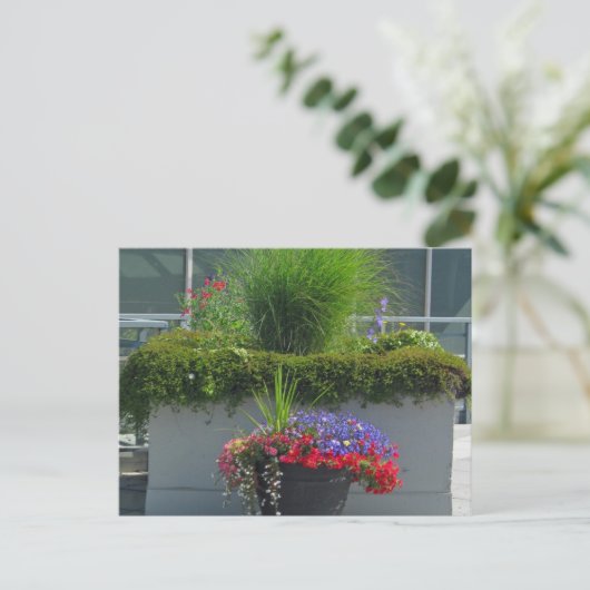 2013年花はがきパティオ表示 ポストカード (スタンド正面)