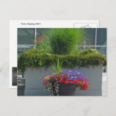 2013年花はがきパティオ表示 ポストカード (正面/裏面)