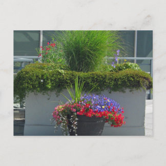 2013年花はがきパティオ表示 ポストカード