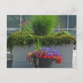 2013年花はがきパティオ表示 ポストカード (正面)