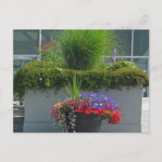 2013年花はがきパティオ表示 ポストカード (正面)