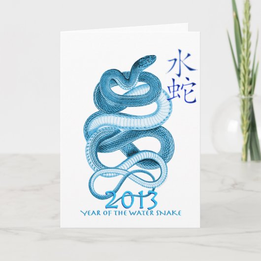 2013年間のヘビ シーズンカード (正面)