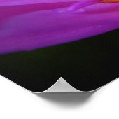 2013年 ポスター (角)