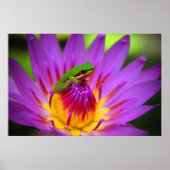 2013年 ポスター (正面)