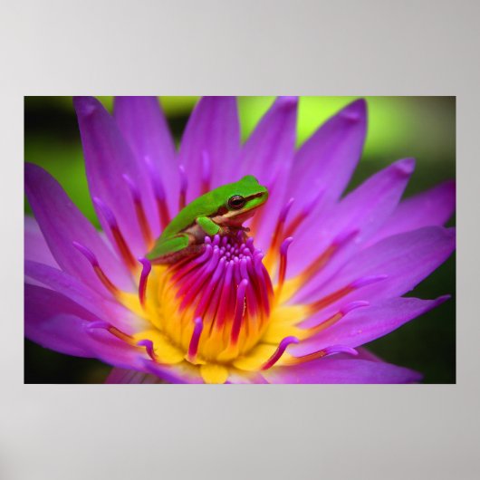 2013年 ポスター (正面)