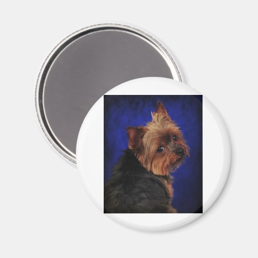 2013年 マグネット (正面/裏面)