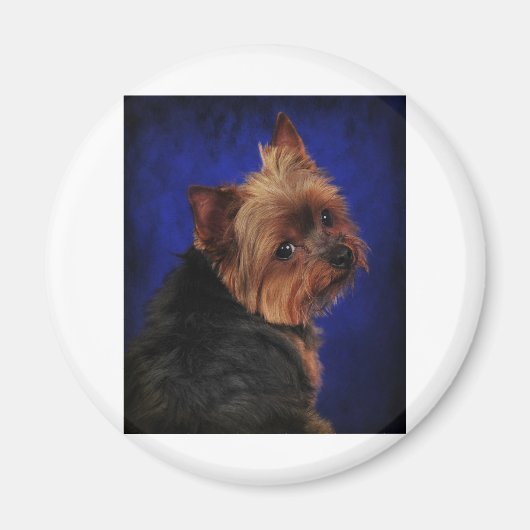 2013年 マグネット (正面)