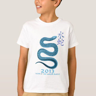 2013年 Tシャツ