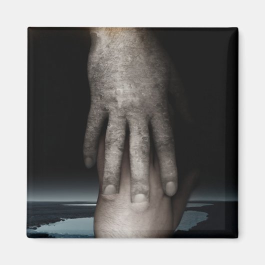 2013救済年 マグネット (正面)