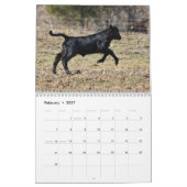 2013頭の子牛 カレンダー (2月 2027)