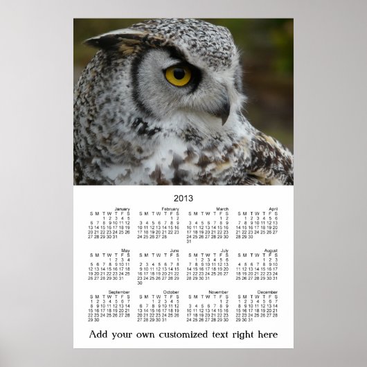 2013 年の壁に貼る OWL プロフィール写真 年間カレンダー ポスター (正面)
