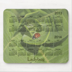 2013-2014年のてんとう虫のカレンダーのマウスパッド マウスパッド