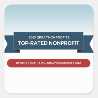 2013 GreatNonprofits Top-Rated Award Stickers スクエアシール