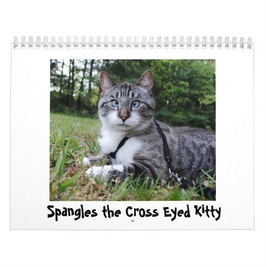 2014のスパンコールのカレンダー カレンダー (カバー)