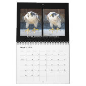 2014カレンダー-主要なカムコラージュ カレンダー (3月 2026)