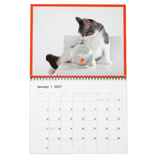 2014コルクのよう揺りかご猫のカレンダー カレンダー (1月 2027)
