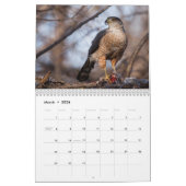 2014匹のカレンダーの猛禽Fort Collinsコロラド州 カレンダー (3月 2026)