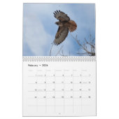 2014匹のカレンダーの猛禽Fort Collinsコロラド州 カレンダー (2月 2026)
