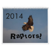 2014匹のカレンダーの猛禽Fort Collinsコロラド州 カレンダー (カバー)