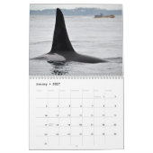 2014南あるシャチのカレンダー カレンダー (1月 2027)
