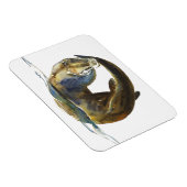 2014年のサークル マグネット (右側)