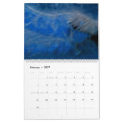 2014年のフラクタリウス機能 カレンダー (2月 2027)