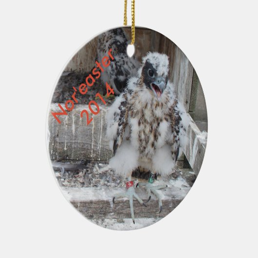 2014年の北東の強風のオーナメント セラミックオーナメント (右)