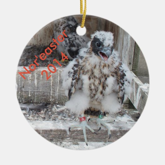 2014年の北東の強風のオーナメント セラミックオーナメント (正面)