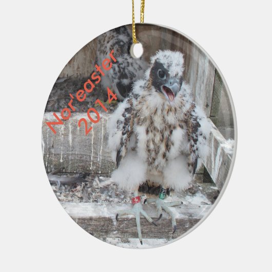 2014年の北東の強風のオーナメント セラミックオーナメント (左)