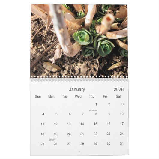 2014年の北東オハイオ州の自然からの場面 カレンダー (1月 2026)