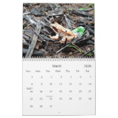 2014年の北東オハイオ州の自然からの場面 カレンダー (3月 2026)