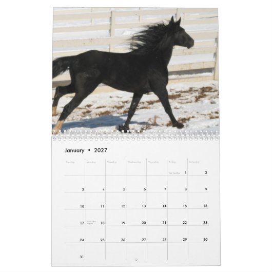 2014年の山の馬のカレンダー カレンダー (1月 2027)