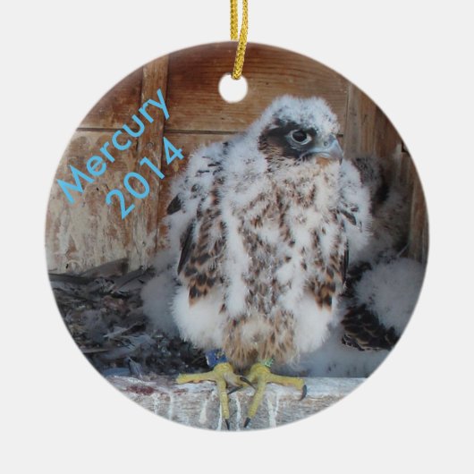 2014年の水星のオーナメント セラミックオーナメント (正面)