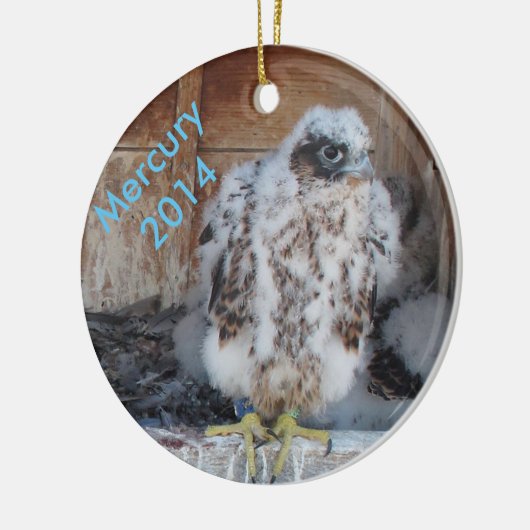 2014年の水星のオーナメント セラミックオーナメント (左)