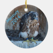 2014年の水星のオーナメント セラミックオーナメント (裏面)