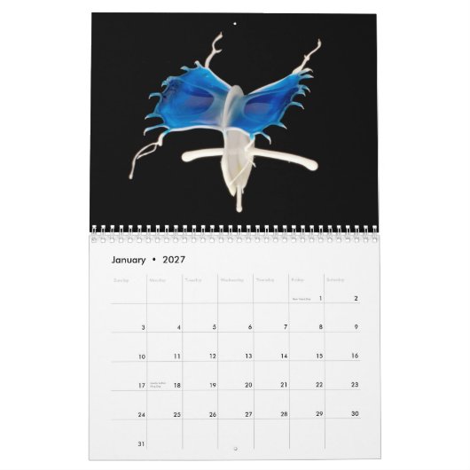 2014年の液体動きのカレンダー カレンダー (1月 2027)