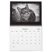 2014年の通り猫の写真撮影のカレンダー カレンダー (2月 2027)