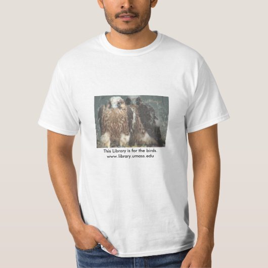 2014年の《鳥》ハヤブサのクラス Tシャツ (正面)