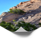 2014年ニューメキシコ州カメルロック ポスター (角)