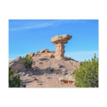 2014年ニューメキシコ州カメルロック