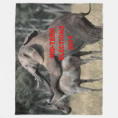 2014年中間選挙 フリースブランケット (正面)