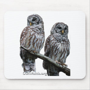2014年9月- OwlWatchのフクロウ マウスパッド