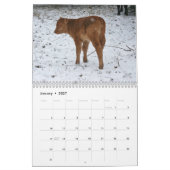 2014頭の子牛 カレンダー (1月 2027)