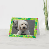 2014 シーズンカード (正面)