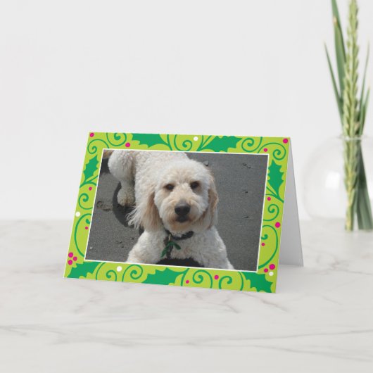 2014 シーズンカード (正面)