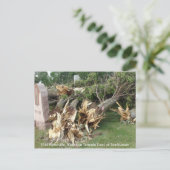 2014 Platteville, Tornadoes Memorabiliaはがき ポストカード (スタンド正面)