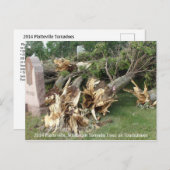2014 Platteville, Tornadoes Memorabiliaはがき ポストカード (正面/裏面)