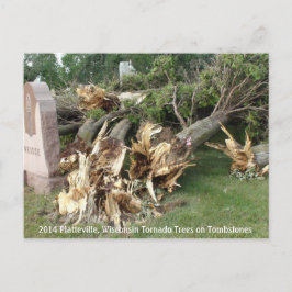 2014 Platteville, Tornadoes Memorabiliaはがき ポストカード