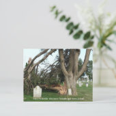 2014 Platteville, Tornadoes Memorabiliaはがき ポストカード (スタンド正面)