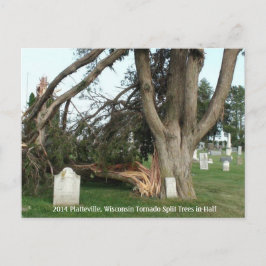 2014 Platteville, Tornadoes Memorabiliaはがき ポストカード